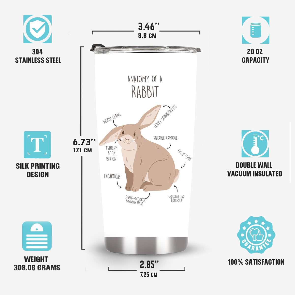 anatomy of a rabbit